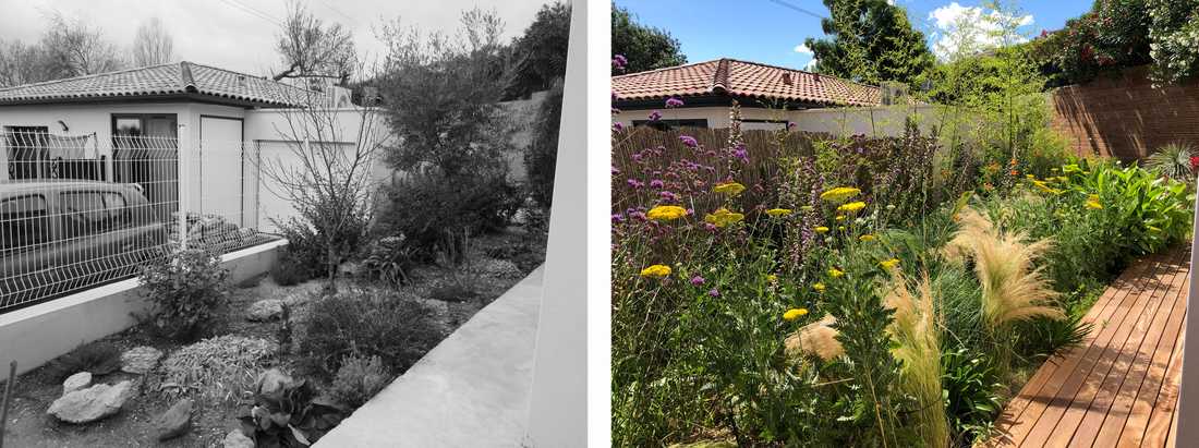 Avant-après de l'aménagement d'une petit jardin dans un lotissement par un paysagiste dans les Bouches-du-Rhône