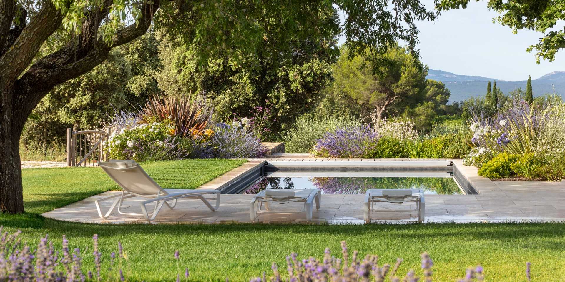 Garden with swimming pool designed by a landscape architect in Provence