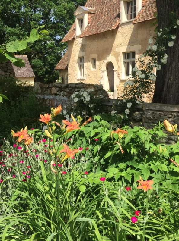 Fleurs d'orangés dans un jardin dans les Bouches-du-Rhône