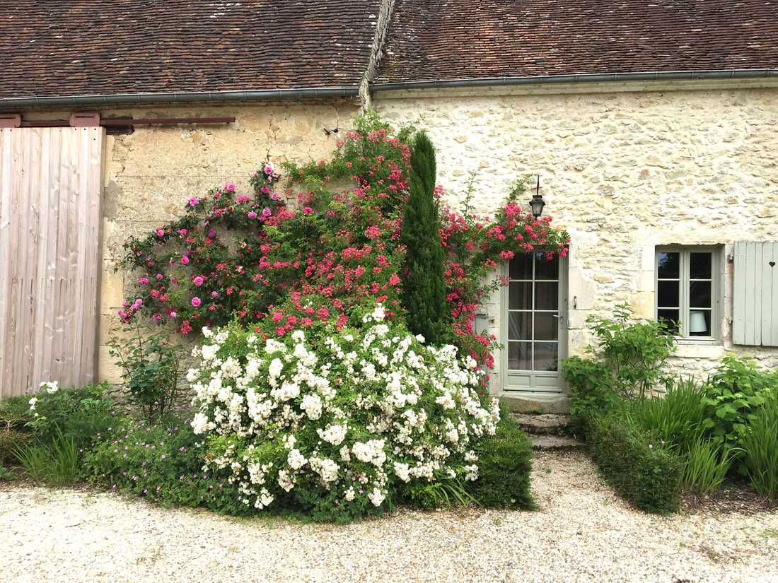 Jardin d'une maison ancienne à Aix-en-Provence