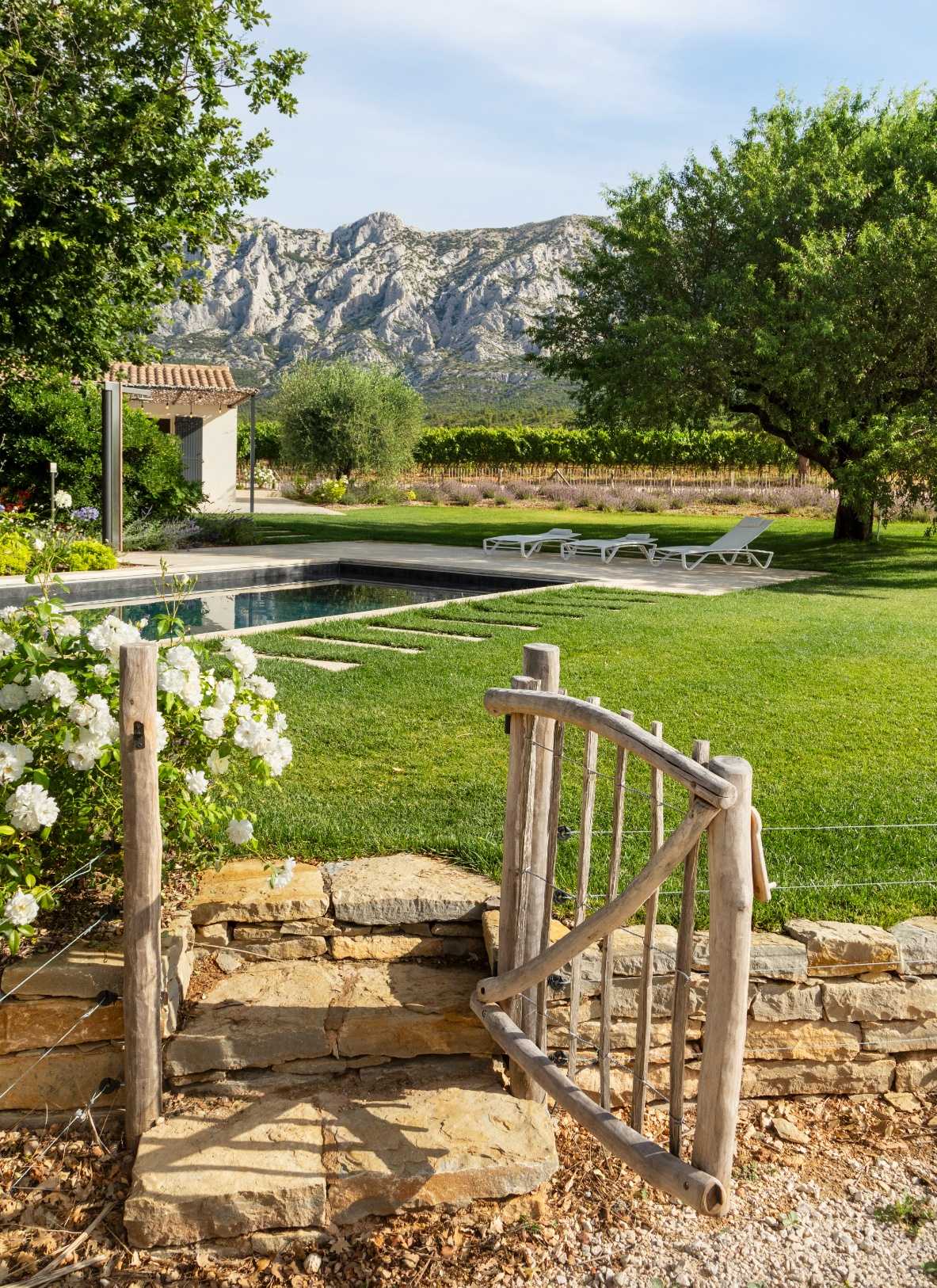 Landscape design of a Provencal garden with swimming pool by a landscape architect