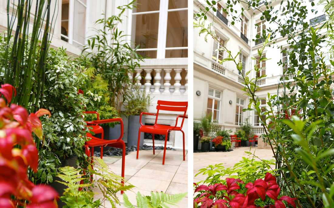 Aménagement paysager de la cour d'un hôtel particulier à Aix-en-Provence