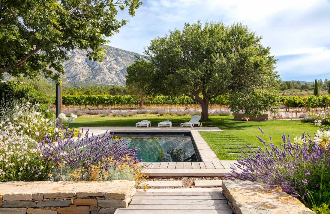 Jardin chic et authentique en Provence - la piscine au milieu de la végétation